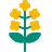 altText.iconFuer Ріпак  