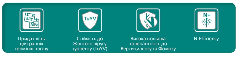 asset_image